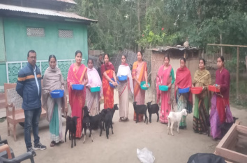 Photographs of Goatery distribution under Rural Backyard goat Dev scheme under  National livestock mission to the women beneficiaries,in Nalbari district.