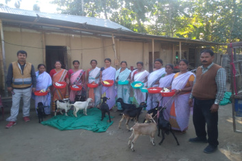 Photographs of Goatery distribution under Rural Backyard goat Dev scheme under  National livestock mission to the women beneficiaries,in Nalbari district.