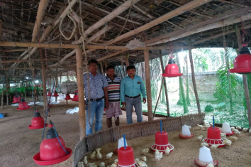 Photographs of Innovation poultry productivity project Nalbari under National livestock mission